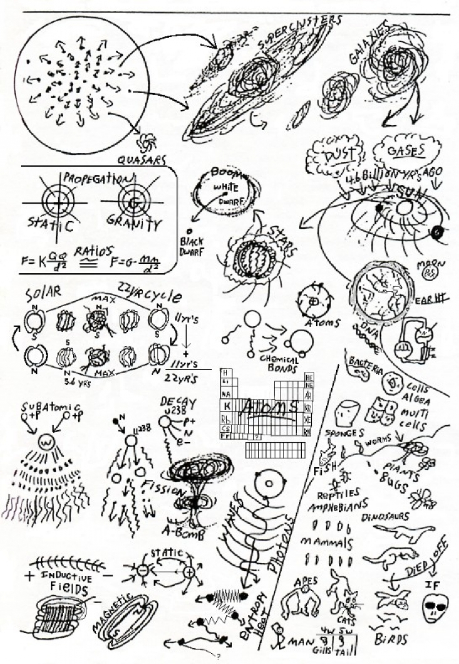 gallery/e48d1942be8be5cf90823bb3a0ab6872_740x1060