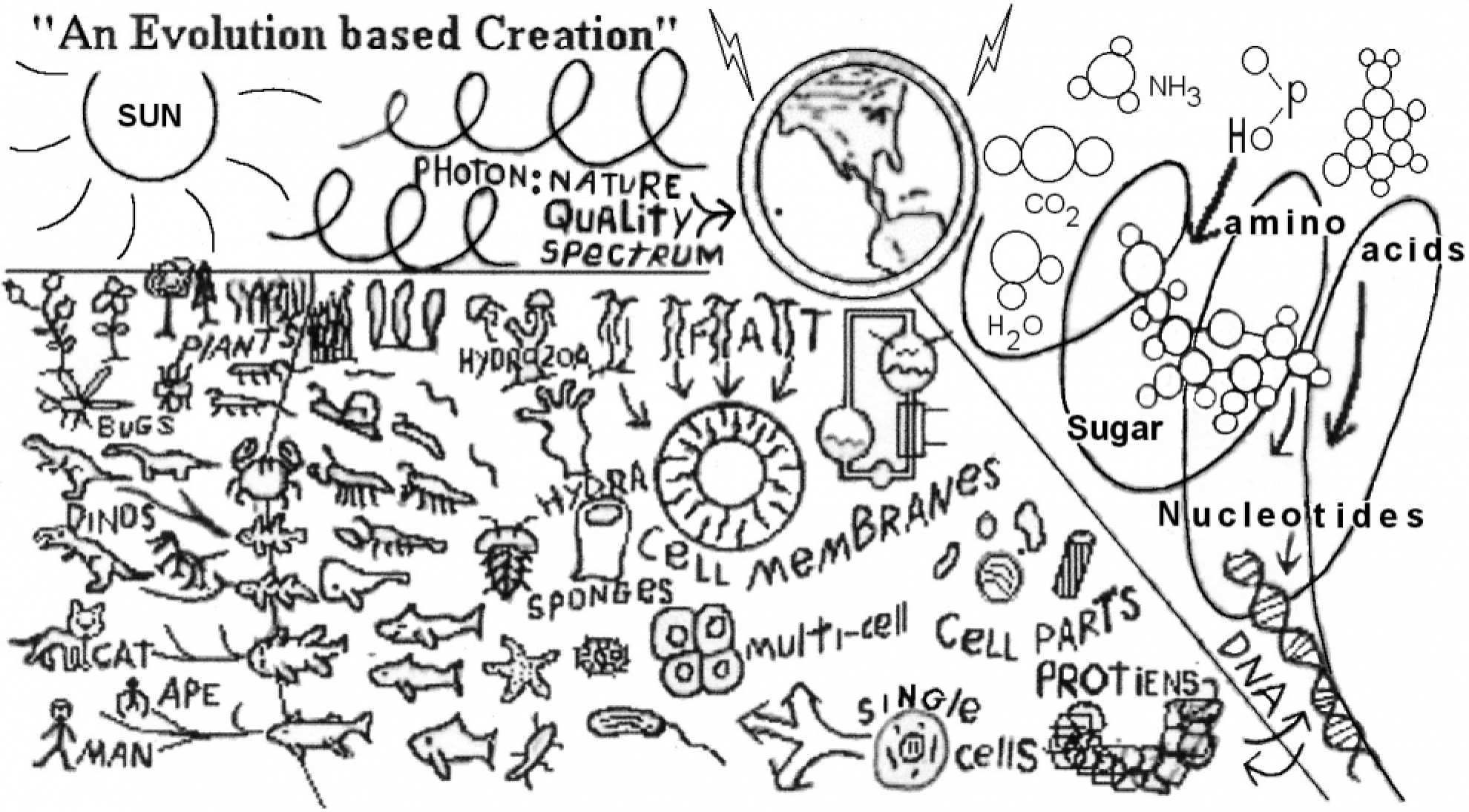 gallery/976b0af666210f5725ec9ccf257d5f48_990x550